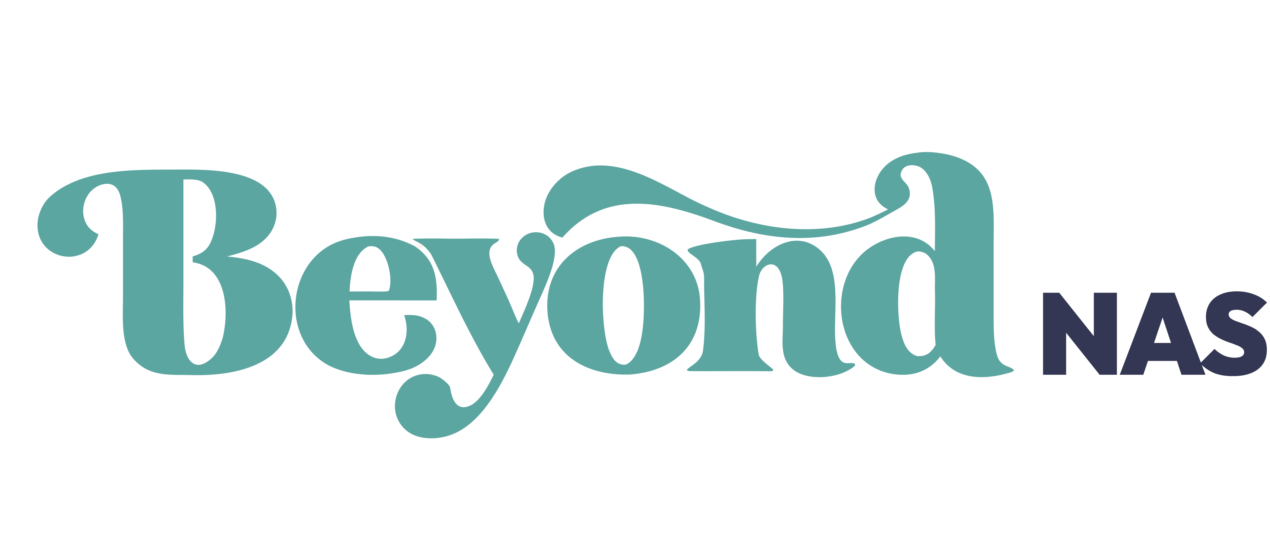 BeyondNAS